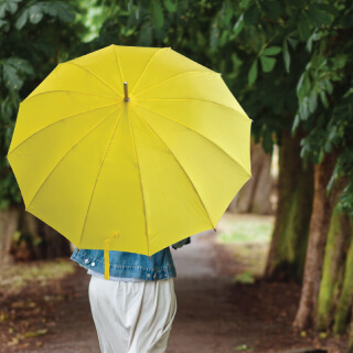 Parasols