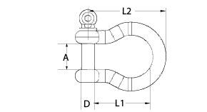 Stainless Steel Bow Shackle