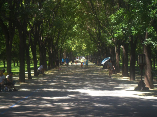 Shade In Australia