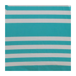 Beachkit Hollie and Harrie Iridescent Stripe